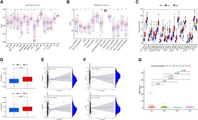 Development of an exosome-related and immune microenvironment prognostic signature in colon adenocarcinoma